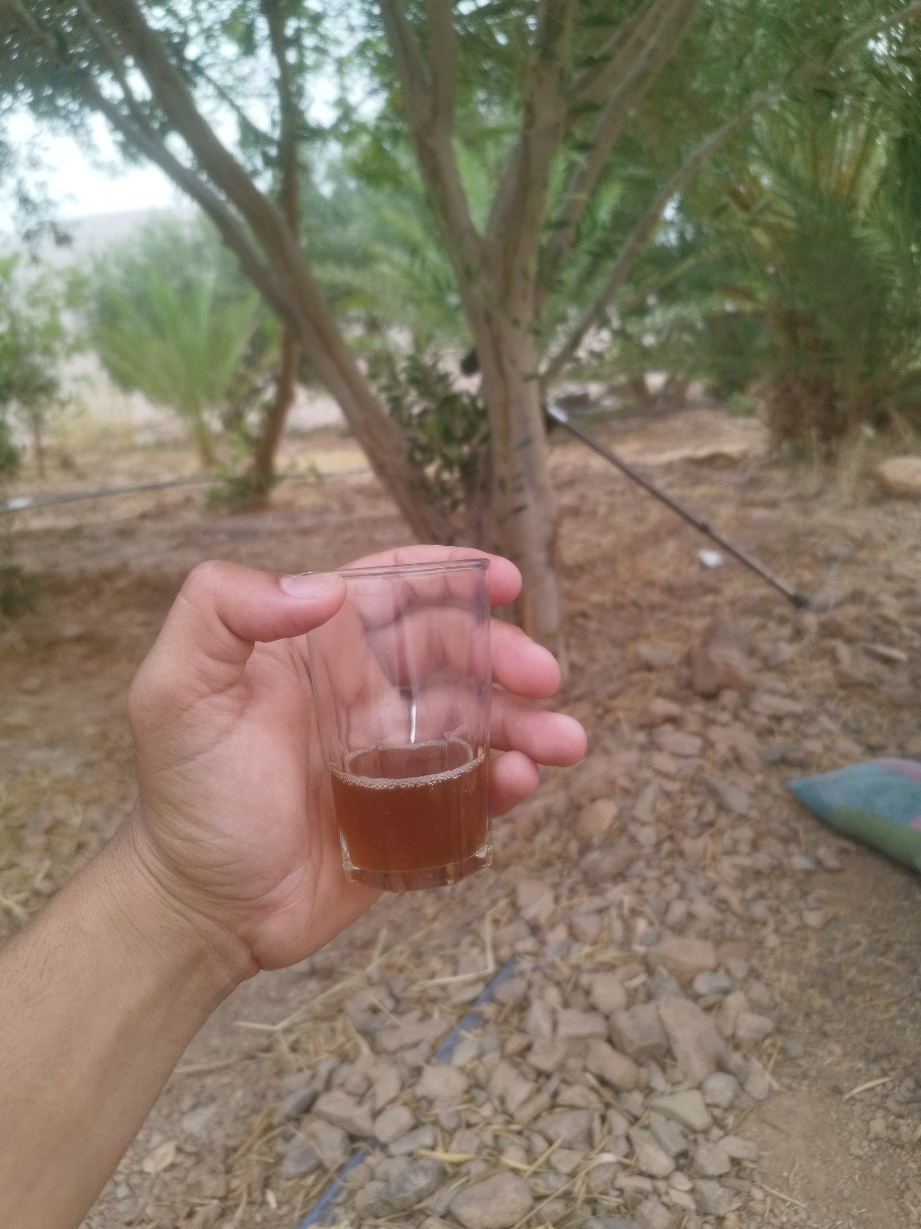 Growing Community at FOM AFSAHEY